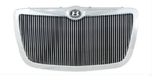 ABSGrilles/0510Chry300Billet4mm410124.jpg