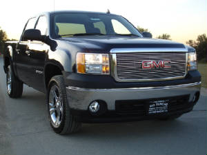 Trex/20205SierraBillet.jpg